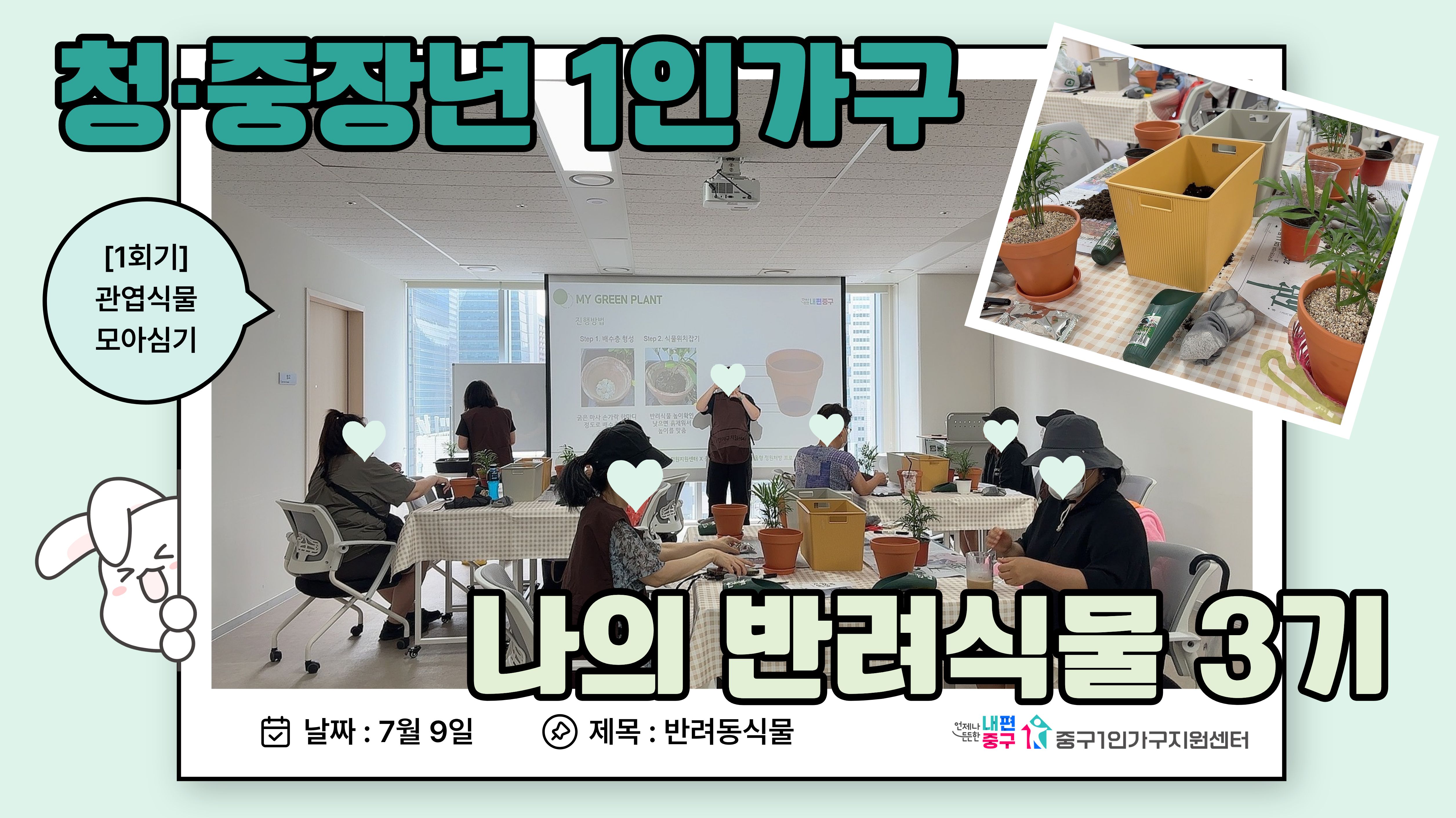 반려동식물-나의 반려식물 3기 1회기