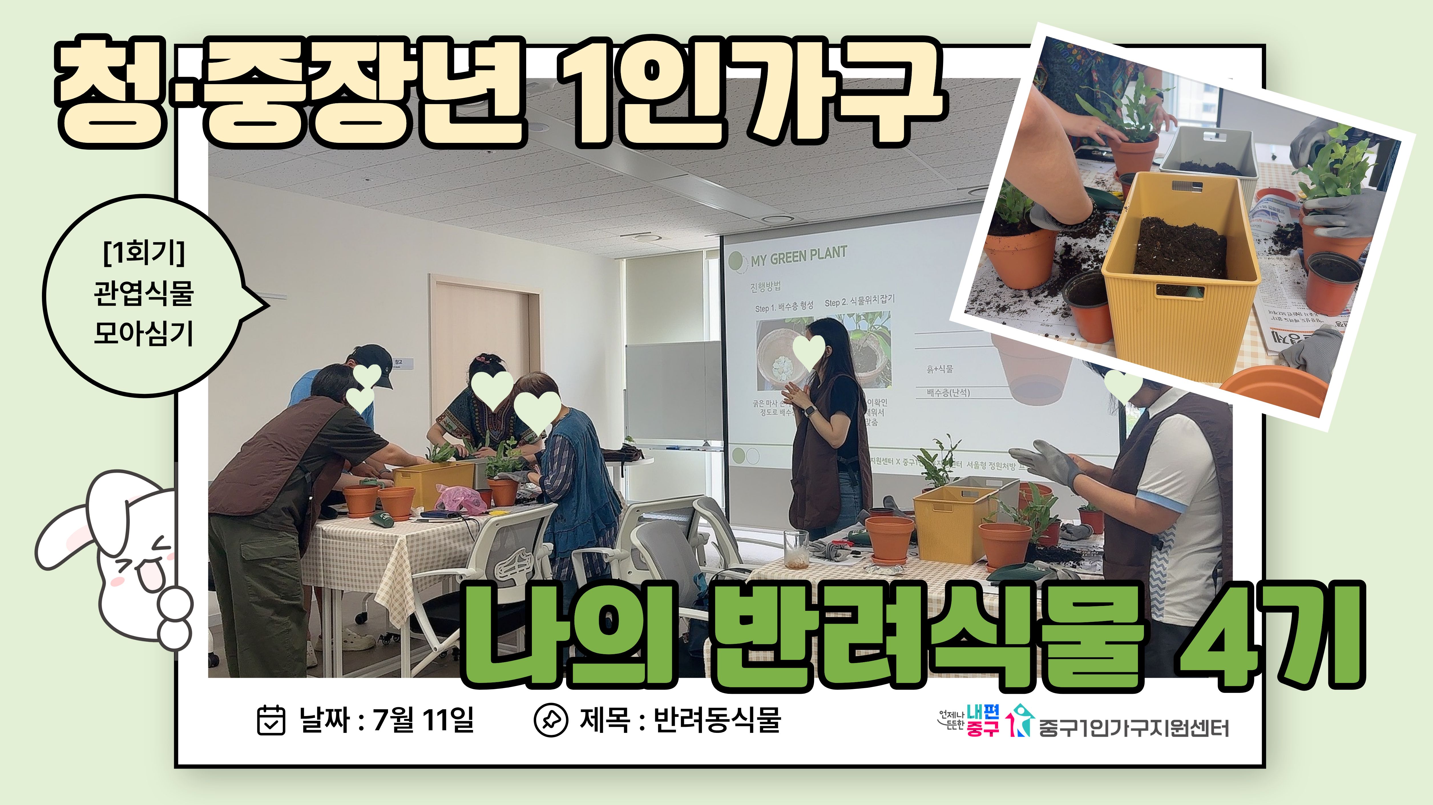 반려동식물-나의 반려식물 4기 1회기